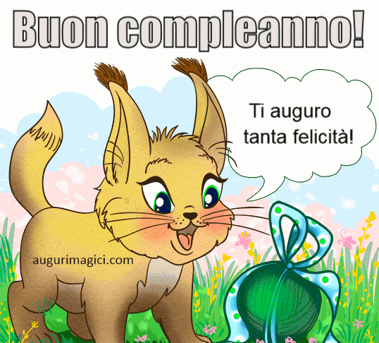 Immagini GIF di buon compleanno, coniglio nel campo