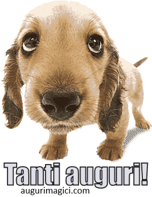 Immagini GIF di buon compleanno, il cucciolo scodinzola